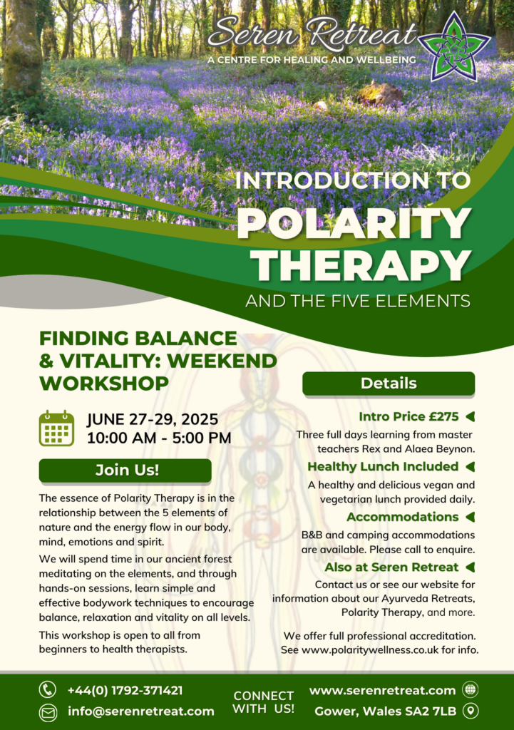 Introduction to Polarity Therapy and the Five Elements — workshop poster, June 27–29 2025 at Seren Retreat